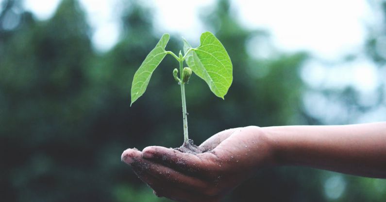 Changes - Person Holding A Green Plant